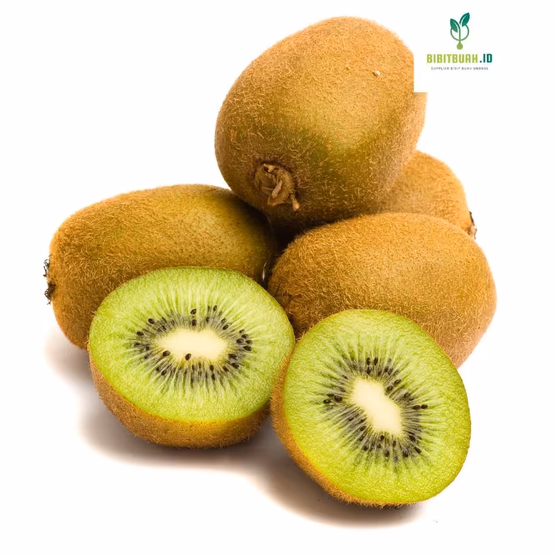 buah kiwi unggul